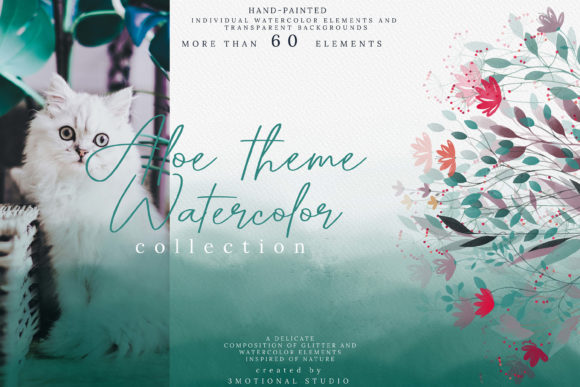 Aloe Theme Watercolor Collection High: A Designer’s Honest Take