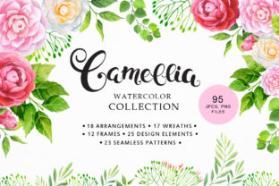 Camellia Watercolor Collection Illustrations