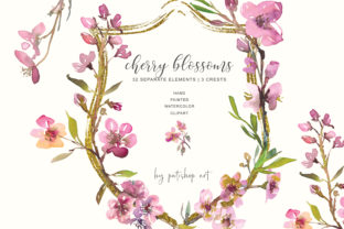 Hand Painted Watercolor Cherry Blossoms: A Versatile Illustration for Creative Sellers