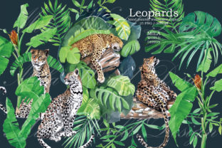 Leopards Watercolor Clip Art and Illustrations