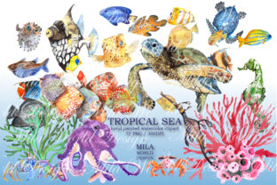 Tropical Sea Watercolor Clip Art and Illustrations