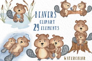 Watercolor Animals Beaver and Illustrations