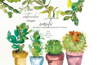 Watercolor Cactus Clip Art Collection and Illustrations