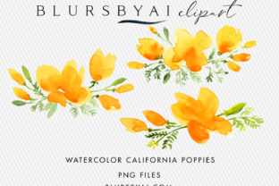 Watercolor California Poppies Clipart and Illustrations