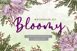 Watercolor Collection Illustrations