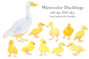 Watercolor Duck with Ducklings, Country Illustrations for Handmade Projects