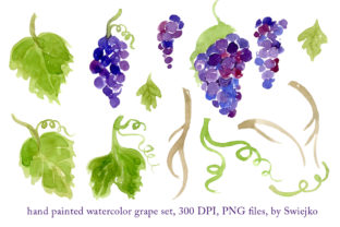 Watercolor Grapes Illustrations for Real Crafting Projects