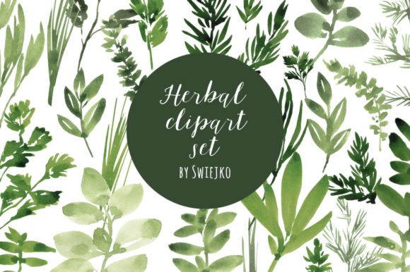 Watercolor Herbs Illustrations for Digital Sellers