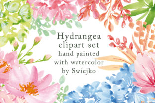 Watercolor Hydrangea Flowers Illustrations