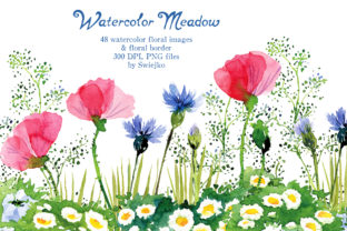 Watercolor Meadow Flowers Illustrations