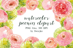 Watercolor Peonies Illustrations
