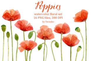 Watercolor Poppies Review