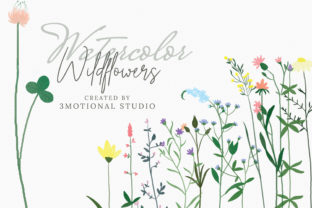 Watercolor Wildflowers High Res Illustrations