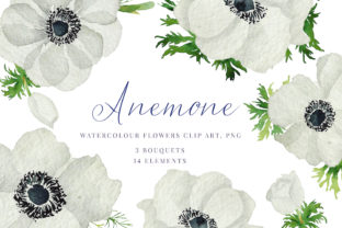 Watercolour Anemone Illustrations for Digital Product Creators